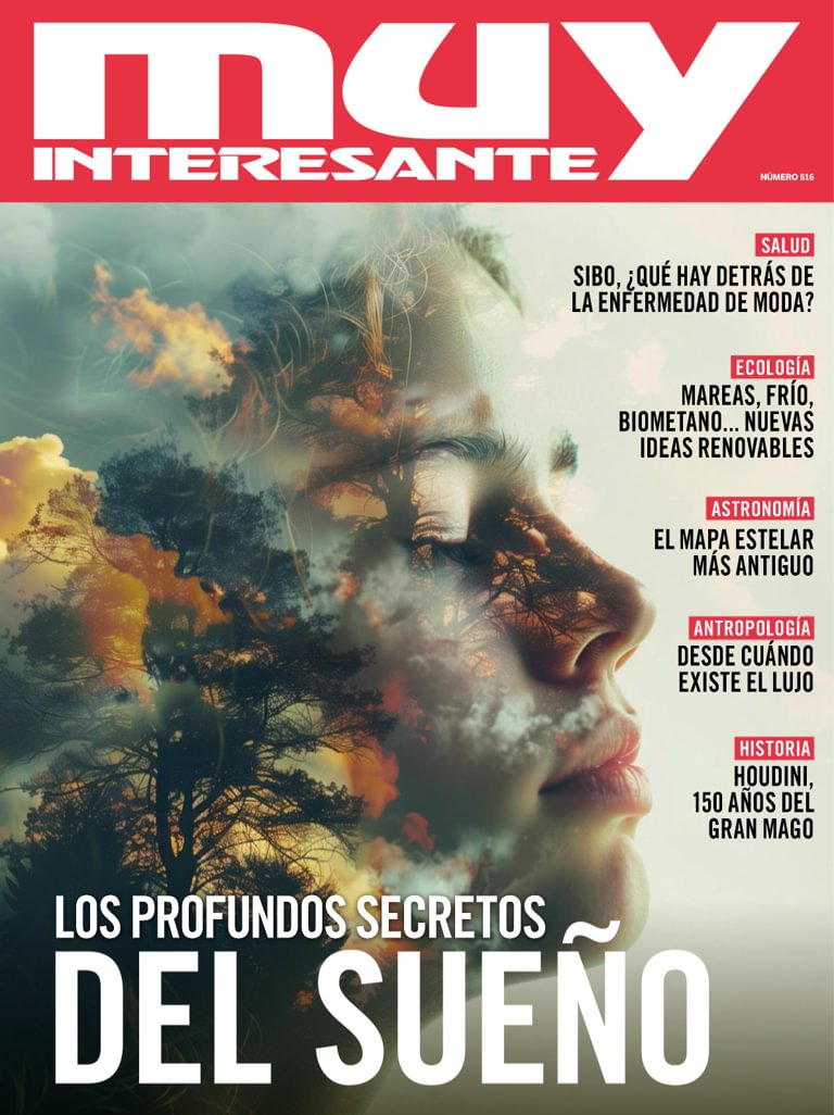 Muy Interesante Espa A Mayo Digital Discountmags