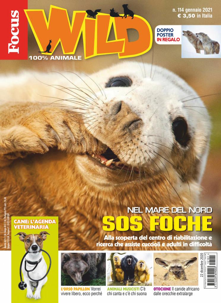 Focus Wild Gennaio 2021 Digital DiscountMags