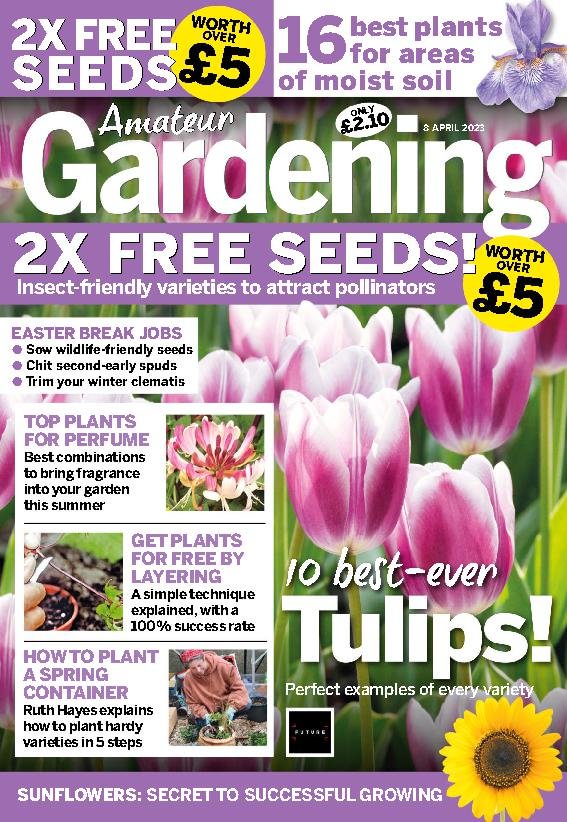 Amateur Gardening Apr Digital Discountmags