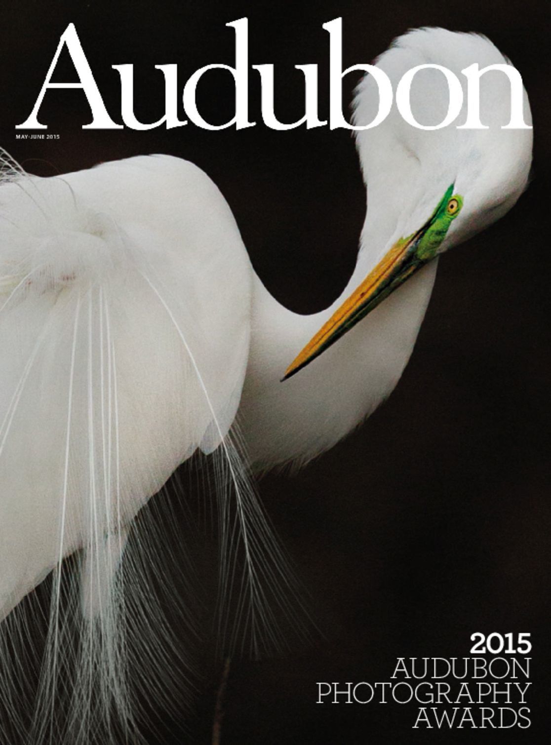 Audubon Magazine Birds and Nature