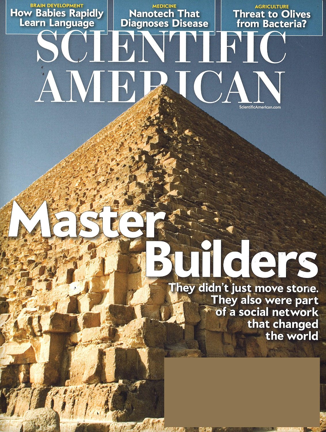 scientific-american-magazine-your-guide-to-science-discountmags