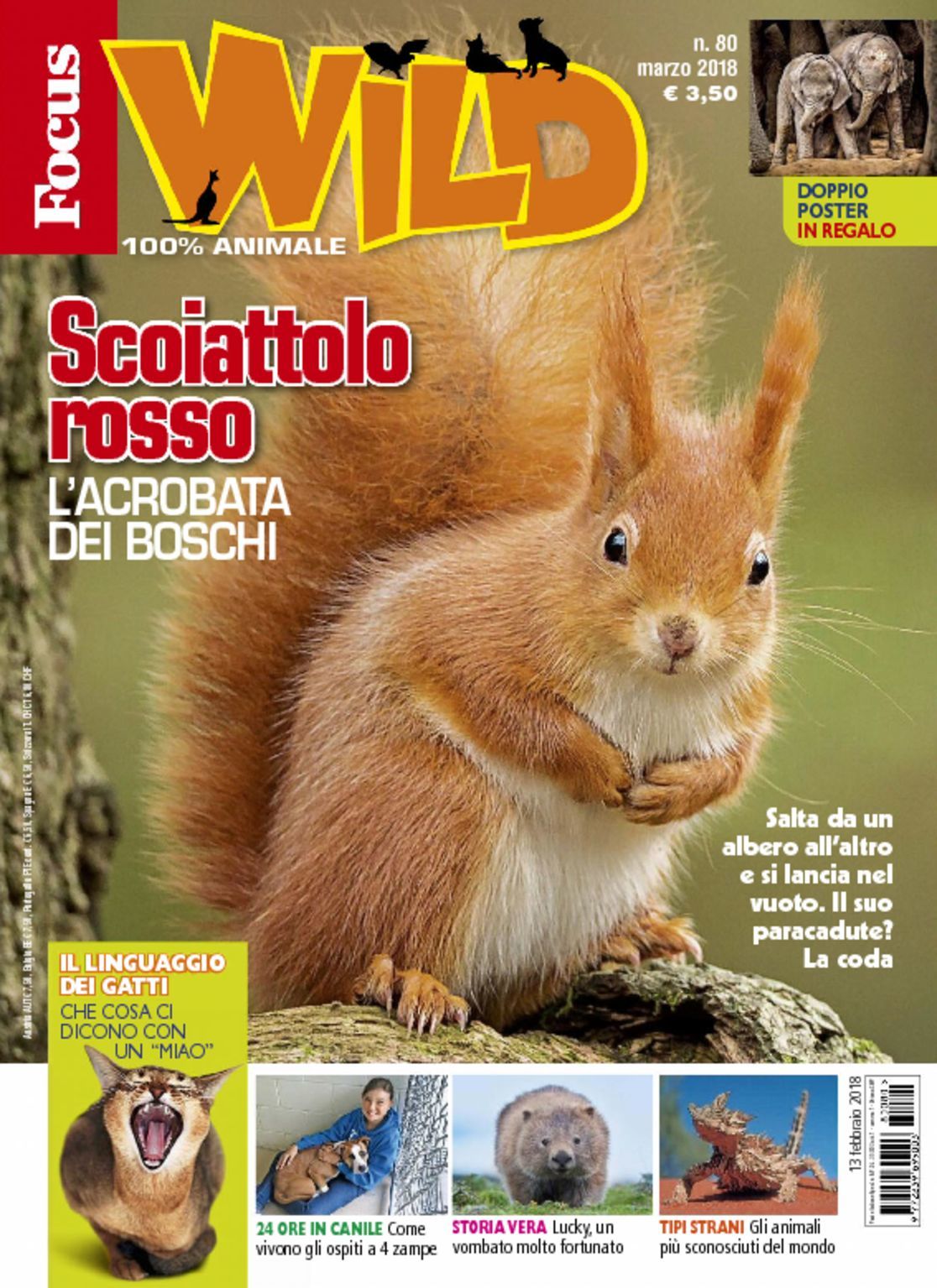 Focus Wild Magazine Digital DiscountMags