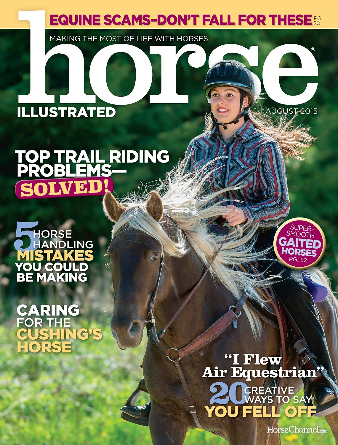 5978-horse-illustrated-cover-2015-november-issue-jpg