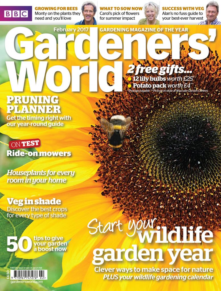 How to Grow Shallots  BBC Gardeners World Magazine