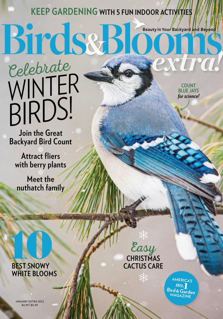 Birds and Blooms Extra January 2022 (Digital) - DiscountMags.com