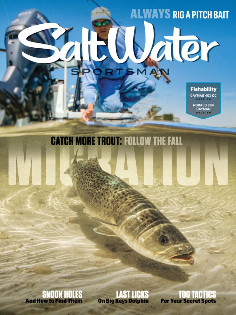 Salt Water Sportsman August/September 2022 (Digital)