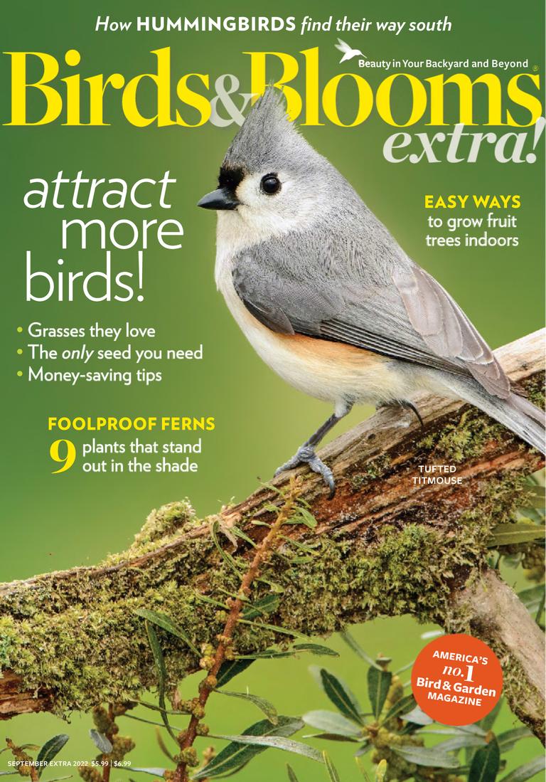 Birds and Blooms Extra September 2022 (Digital) - DiscountMags.com