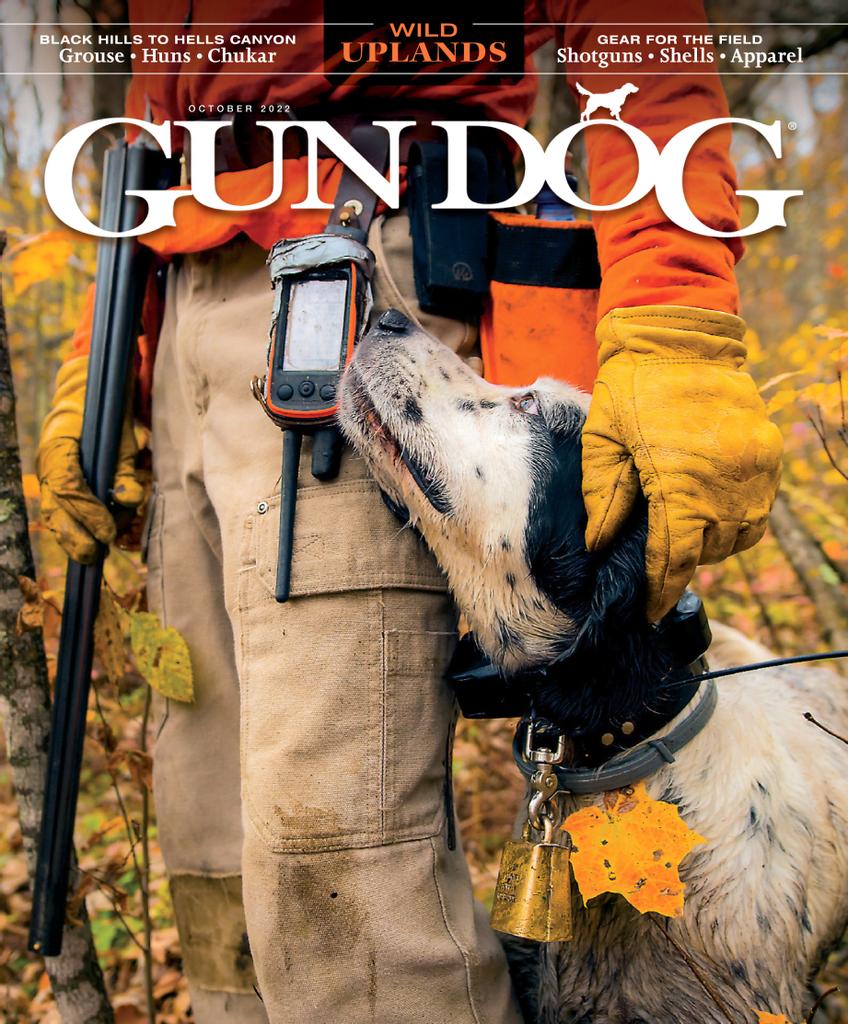 Gun Dog October 2022 (Digital) (Australia)