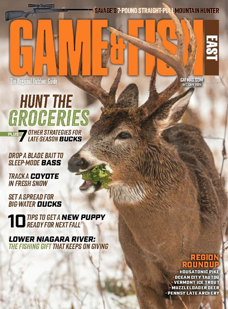 https://www.discountmags.com/shopimages/products/extras/100364-game-fish-east-cover-2023-december-1-issue.jpg