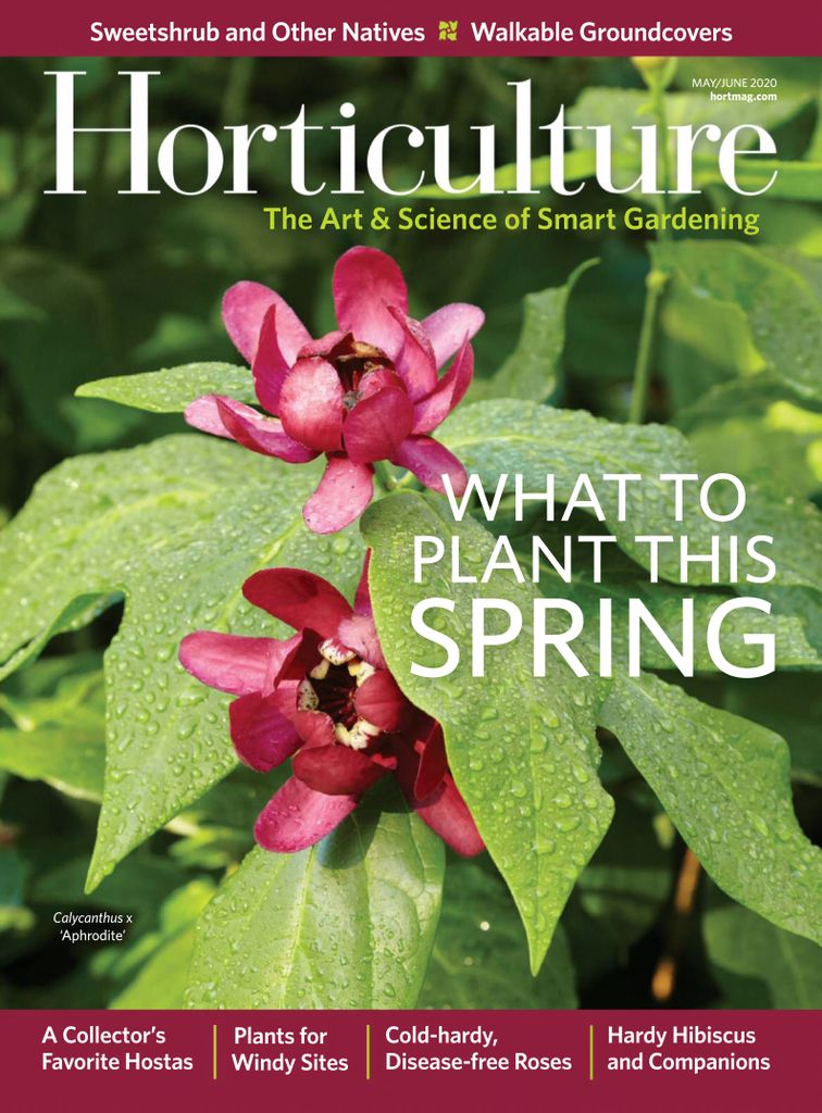 Horticulture Magazine (Digital) Subscription Discount - DiscountMags.com