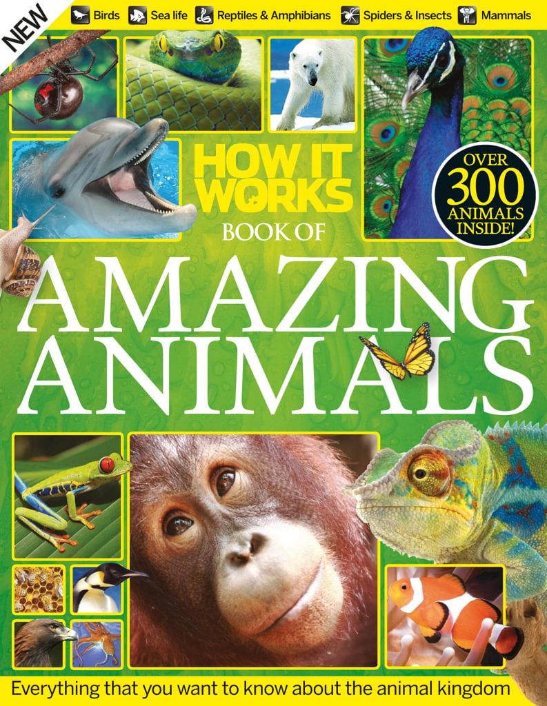 How It Works Book of Amazing Animals Magazine (Digital) - DiscountMags.com