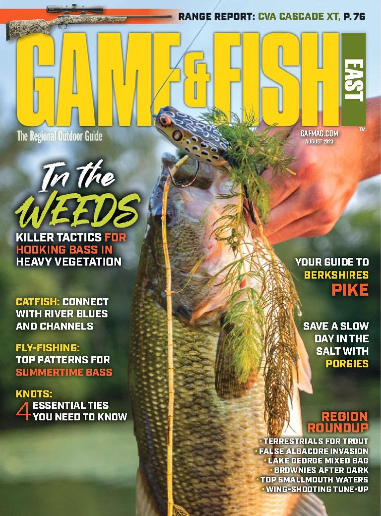 game-fish-east-august-2023-digital-discountmags