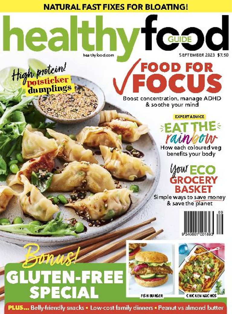 https://www.discountmags.com/shopimages/products/extras/1091072-healthy-food-guide-cover-2023-september-1-issue.jpg