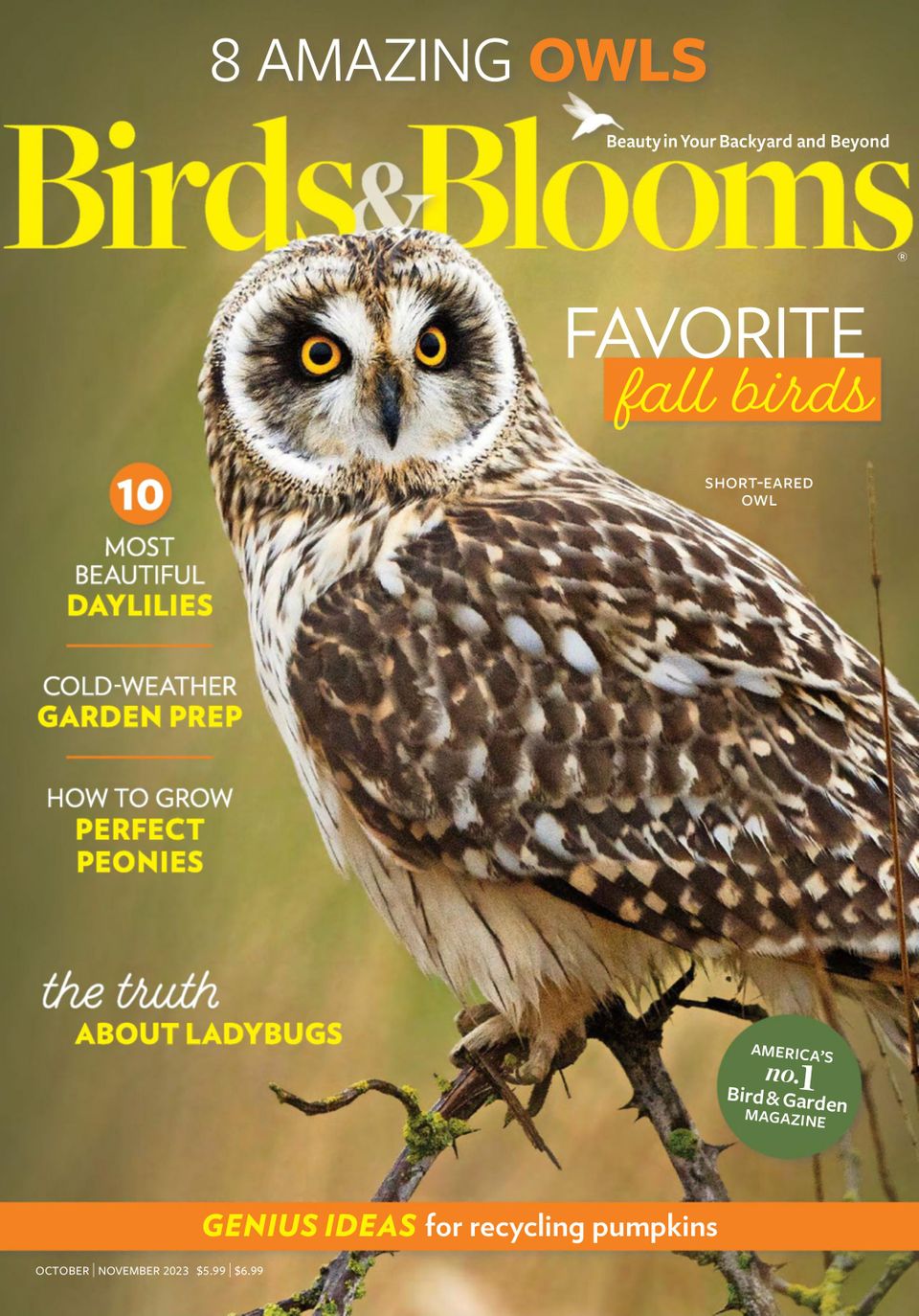 Birds & Blooms October/November 2023 (Digital) - DiscountMags.com