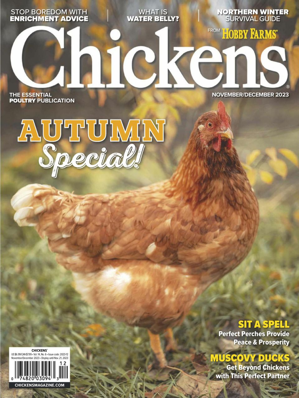 Chickens Magazine Subscription Discount