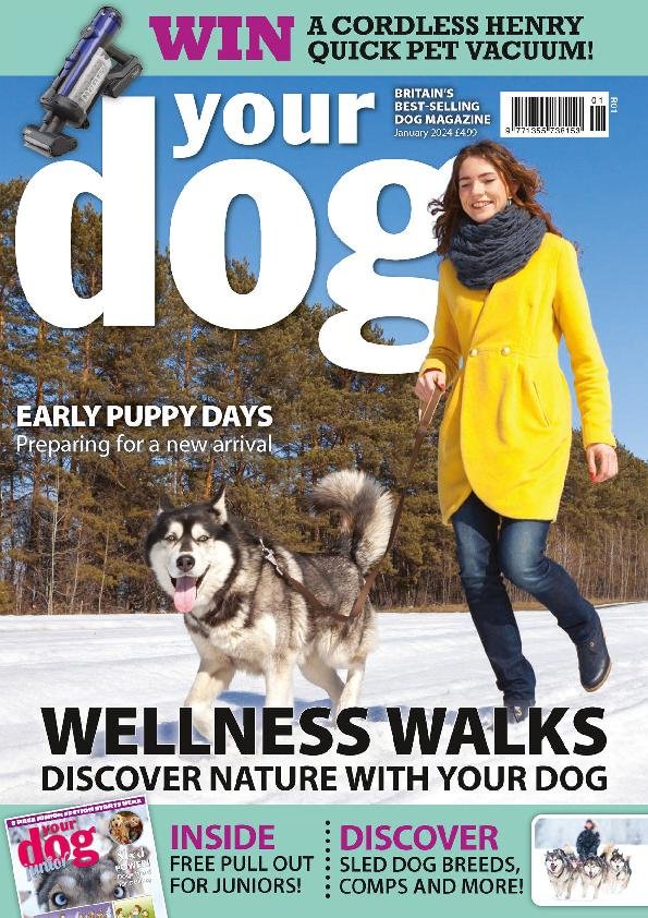 Your Dog January 2024 Digital DiscountMags Com   1282701 Your Dog Cover 2024 January 1 Issue 