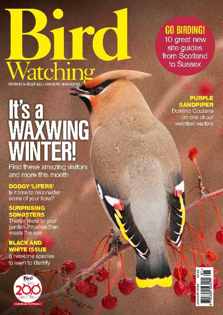 Bird Watching January 2024 (Digital)