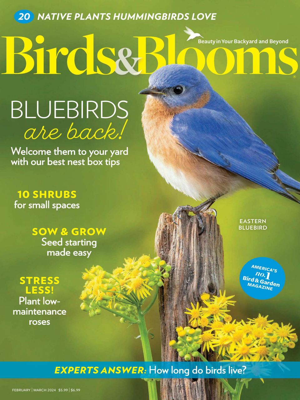 Birds & Blooms February/March 2024 (Digital) - DiscountMags.com