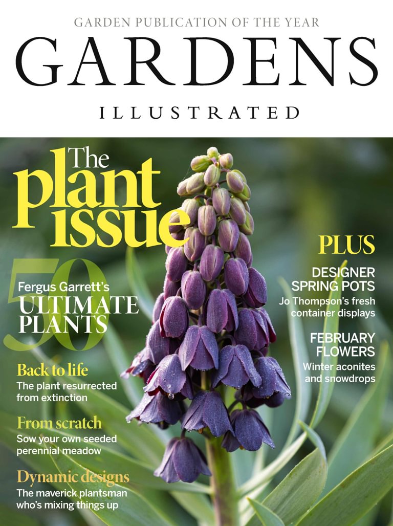 Gardens Illustrated February 2024 Digital DiscountMags Com   1310820 Gardens Illustrated Cover 2024 February 1 Issue 