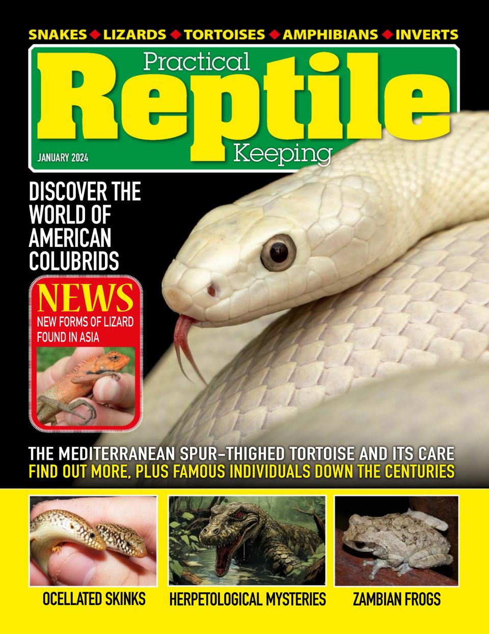 Practical Reptile Keeping January 2024 (Digital)