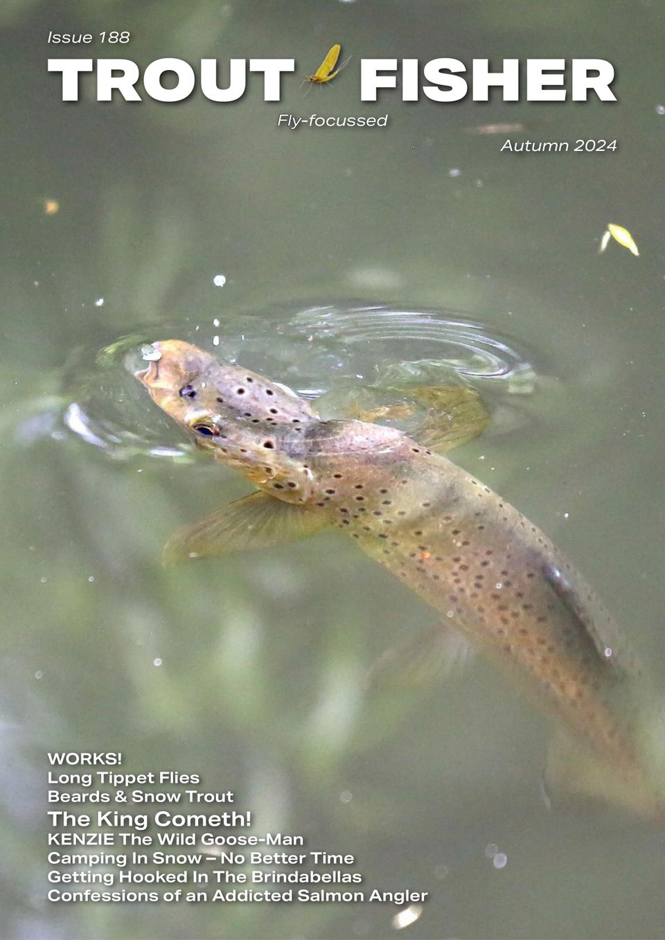 Nz Trout Fisher Autumn 2024 (Digital)