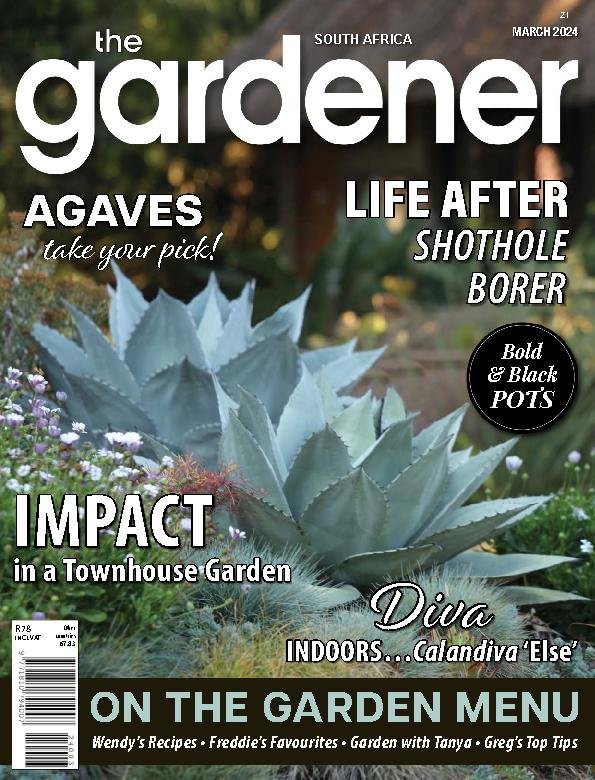 The Gardener March 2024 Digital DiscountMags Com   1323583 The Gardener Cover 2024 March 1 Issue 