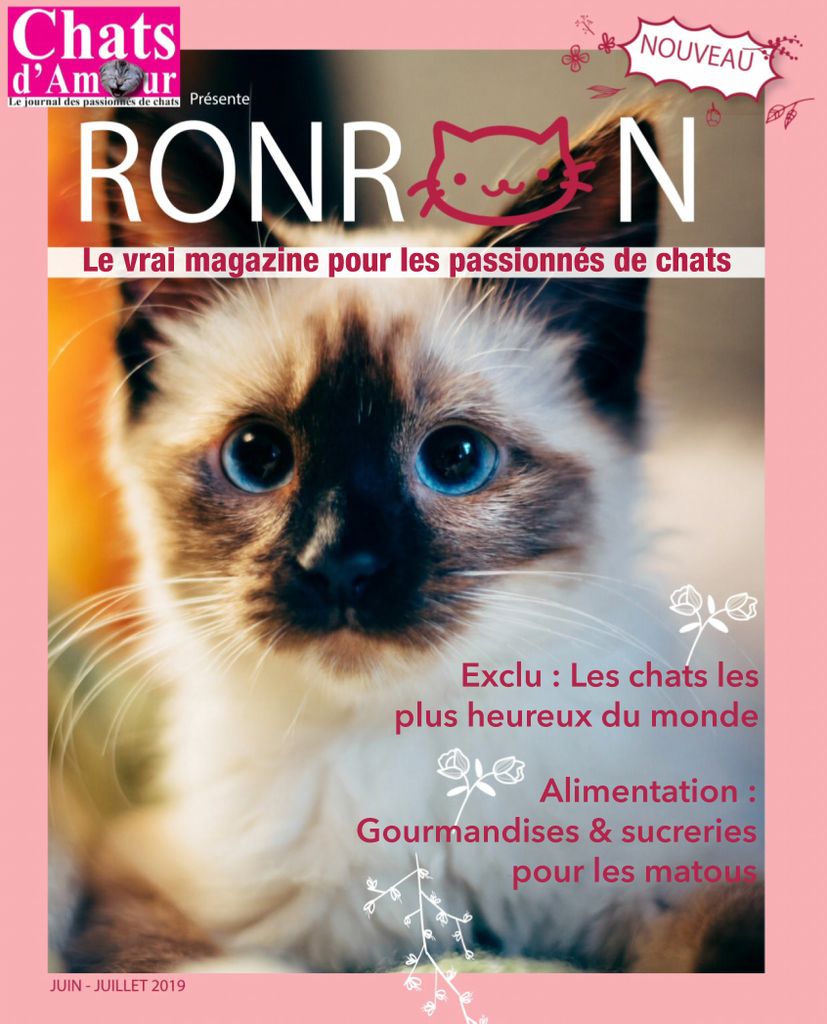 Chats D Amour No 58 Issue Digital Discountmags Com