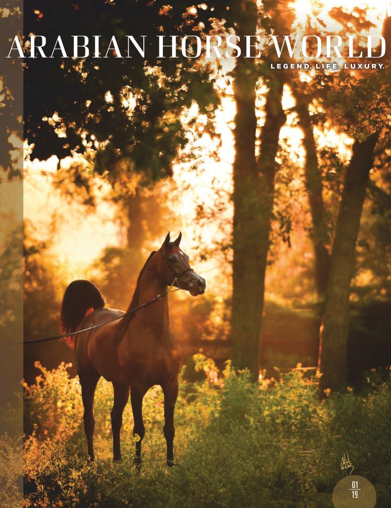 Arabian Horse World January 2019 (Digital) - DiscountMags.com