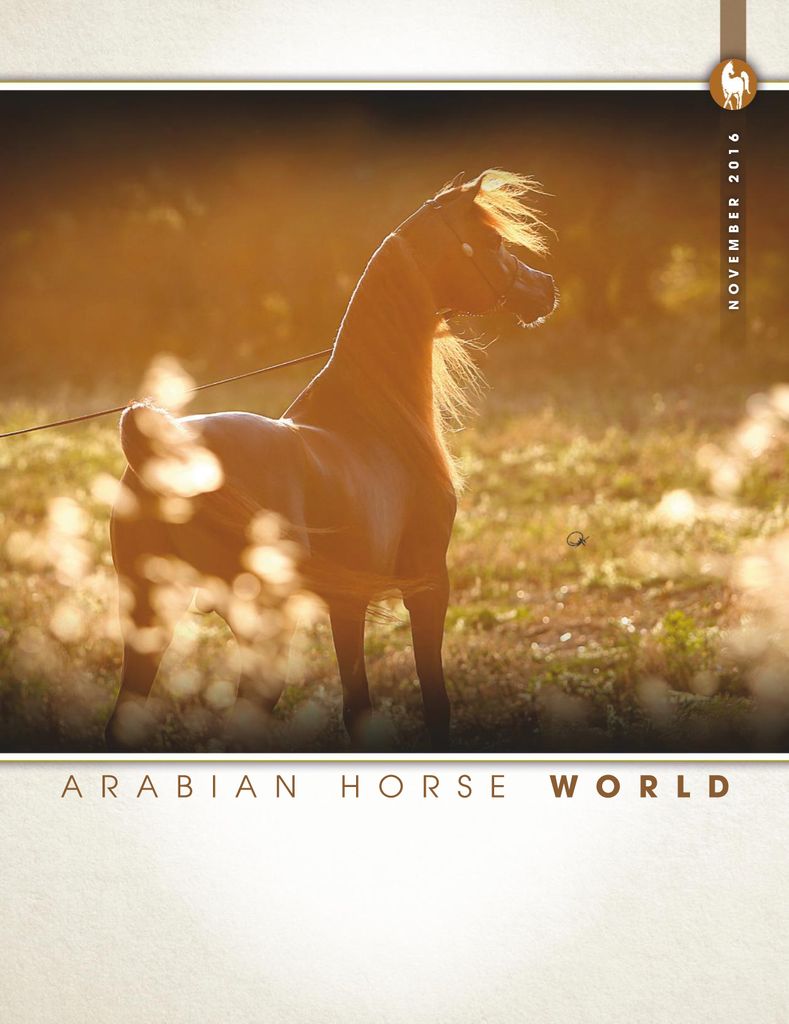 Arabian Horse World November 2016 (Digital) - DiscountMags.com