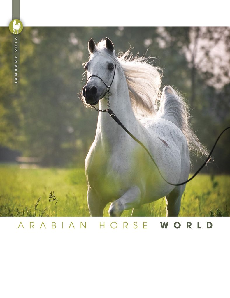 Arabian Horse World January 2016 (Digital) - DiscountMags.com