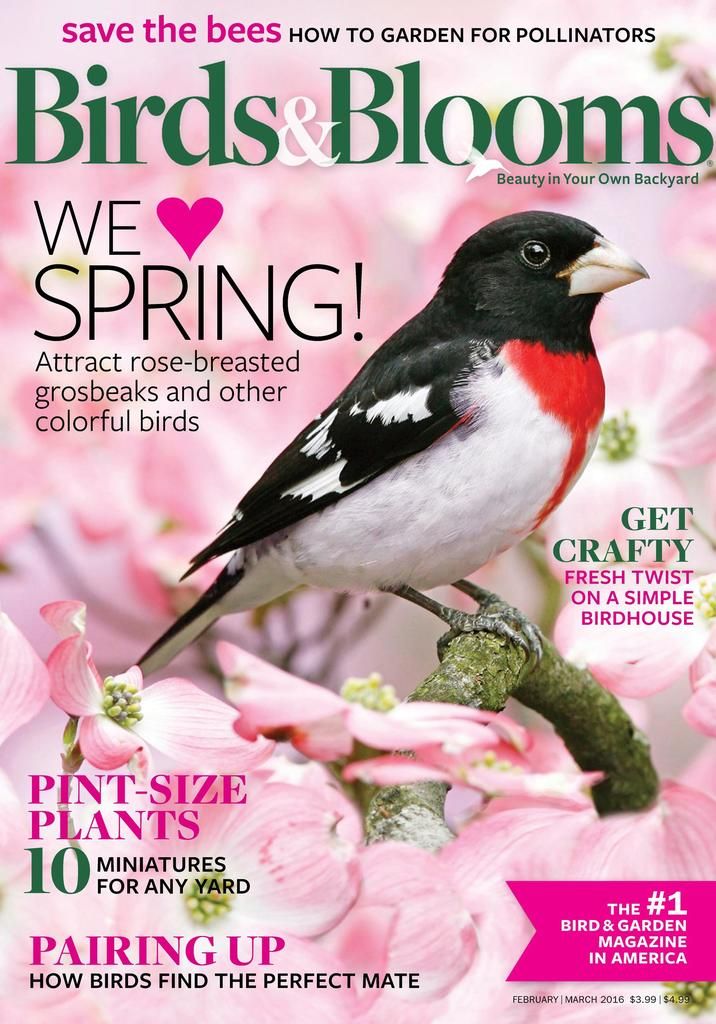 Birds & Blooms February - March 2016 (Digital) - DiscountMags.com