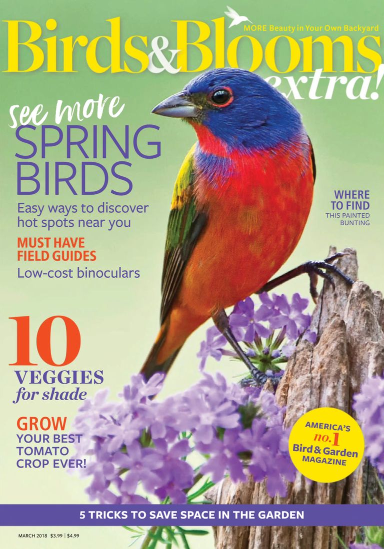 Birds and Blooms Extra March 2018 (Digital) - DiscountMags.com