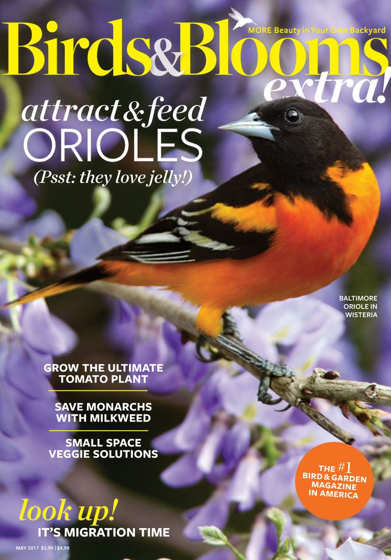 Birds and Blooms Extra May 2017 (Digital)