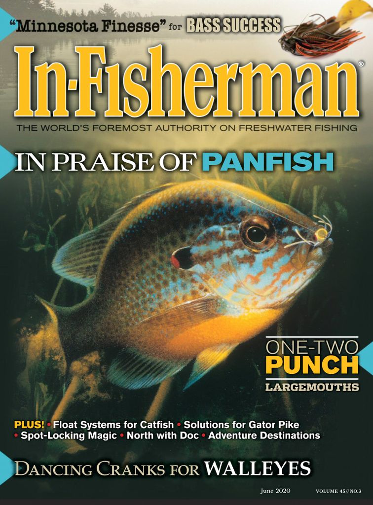 Buy In Fisherman Magazine Subscription