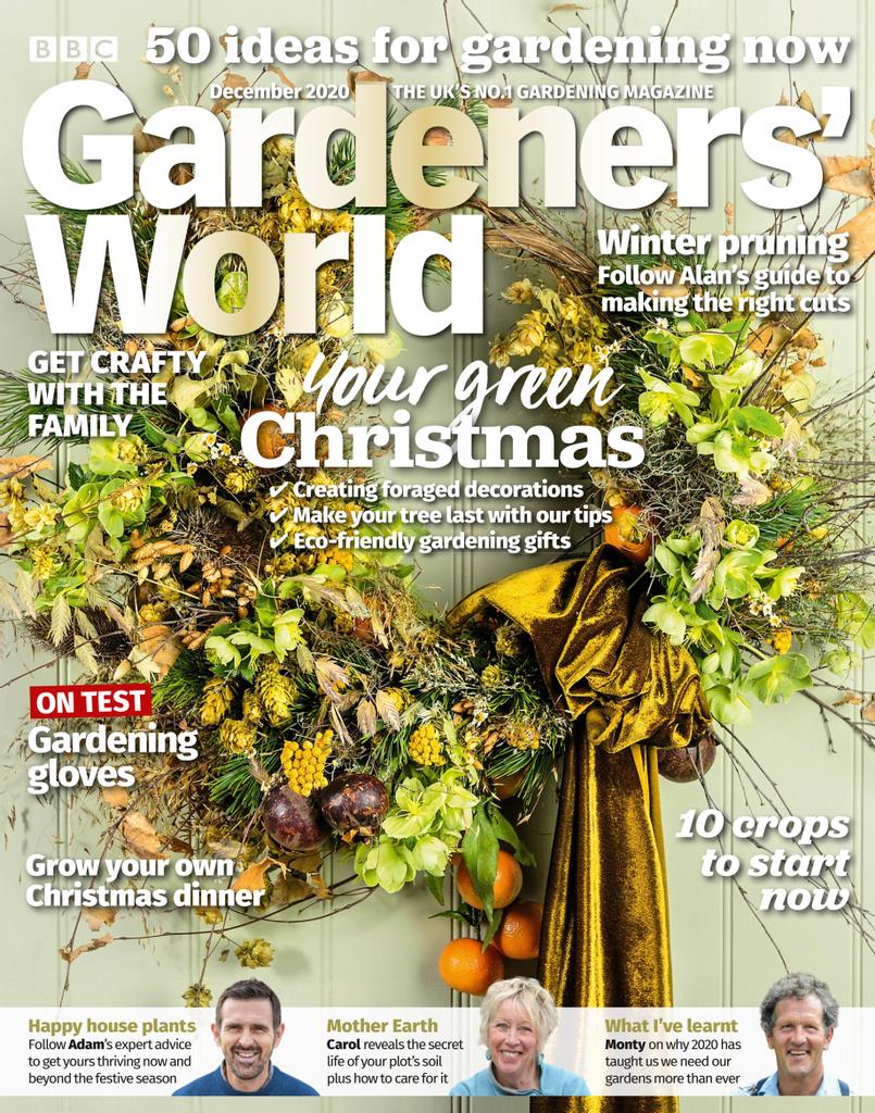How To Make a Wooden Planter - BBC Gardeners World Magazine