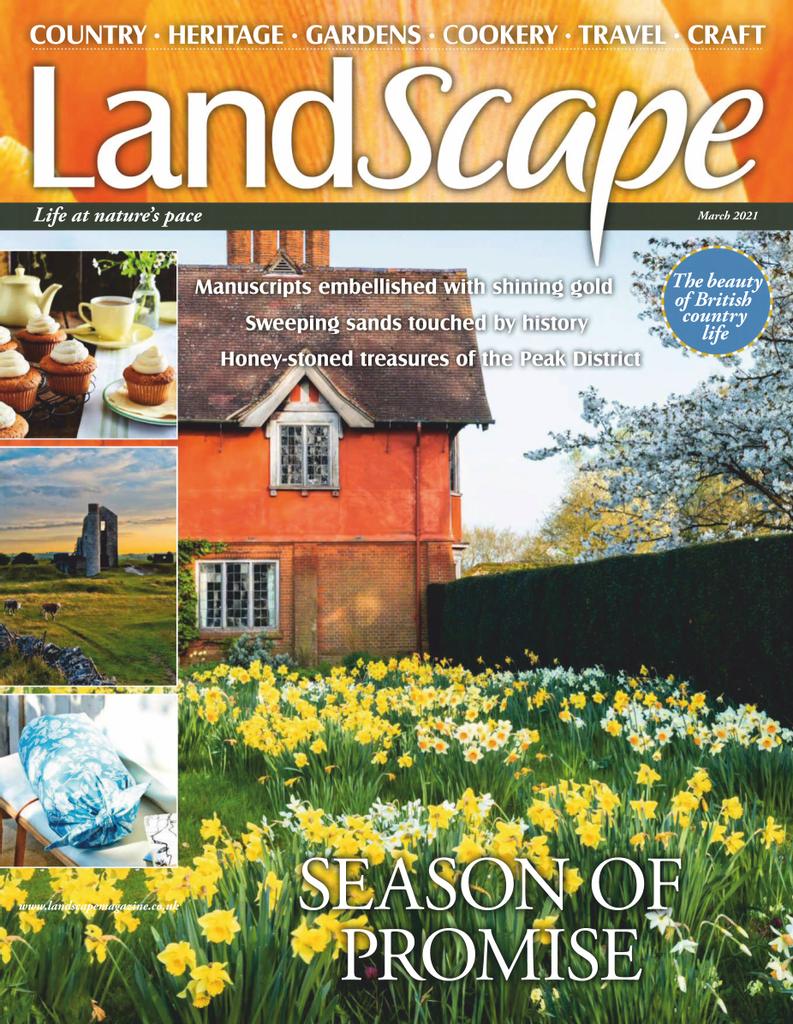 https://www.discountmags.com/shopimages/products/extras/430480-landscape-cover-2021-march-1-issue.jpg