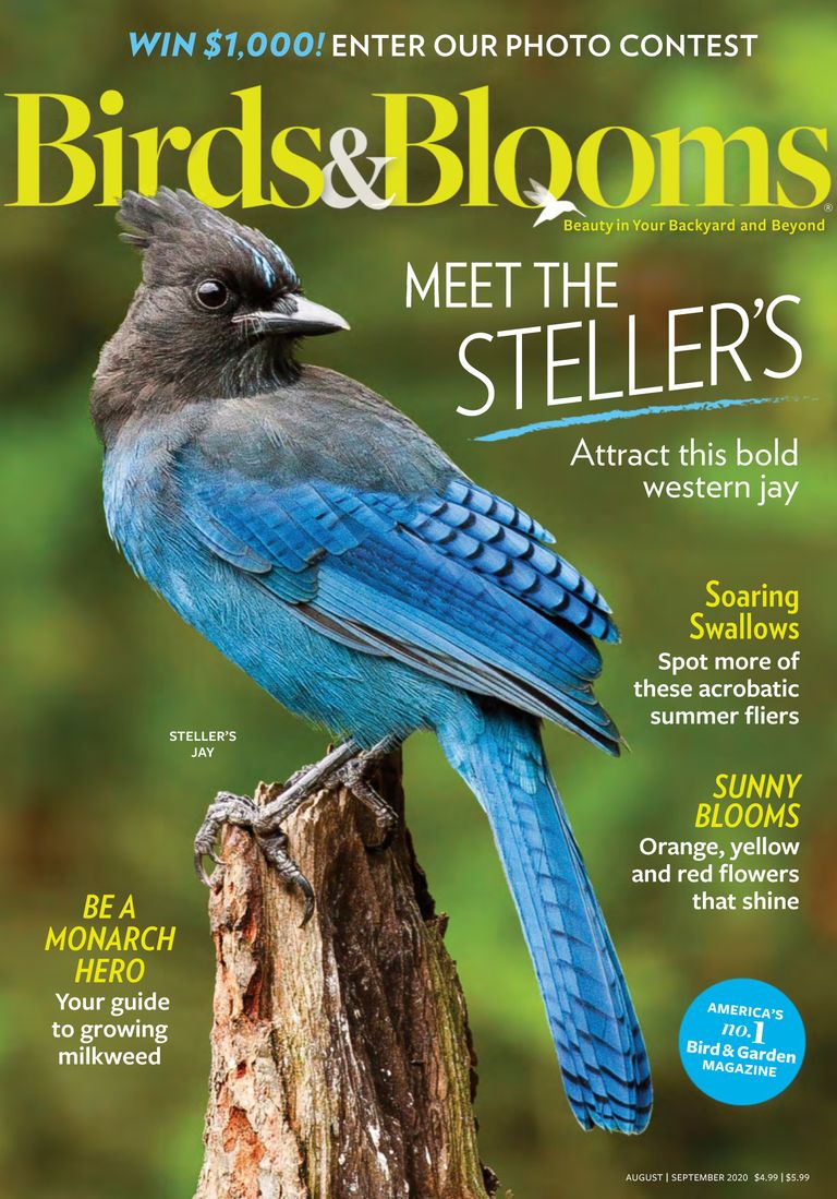 Birds & Blooms Magazine Subscription Discount