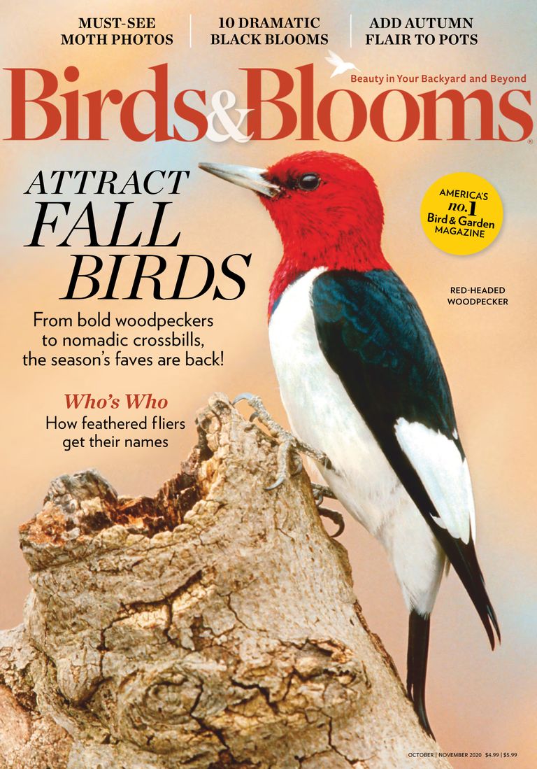 Birds & Blooms Magazine Subscription Discount - DiscountMags.com