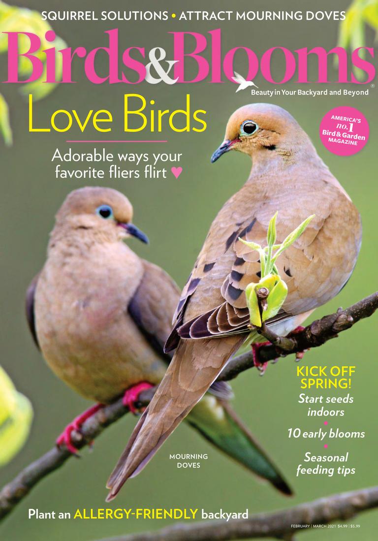 Birds & Blooms Magazine Subscription Discount - DiscountMags.com