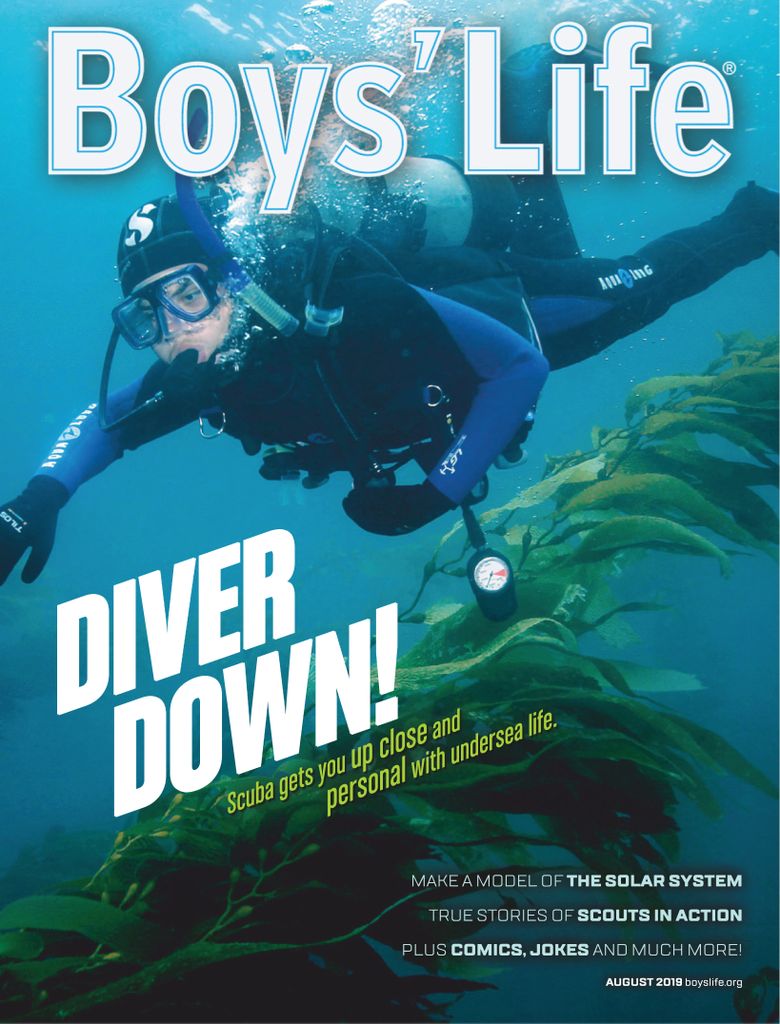 This boys life. Diver down.