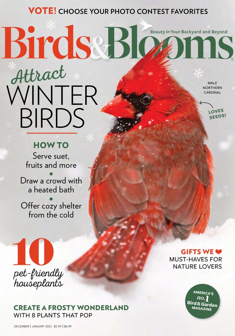 Birds & Blooms December/January 2022 (Digital) - DiscountMags.com