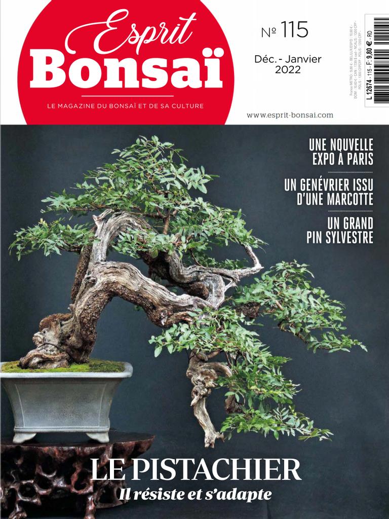 Akadama tamisé - Substrat Plantes Bonsai