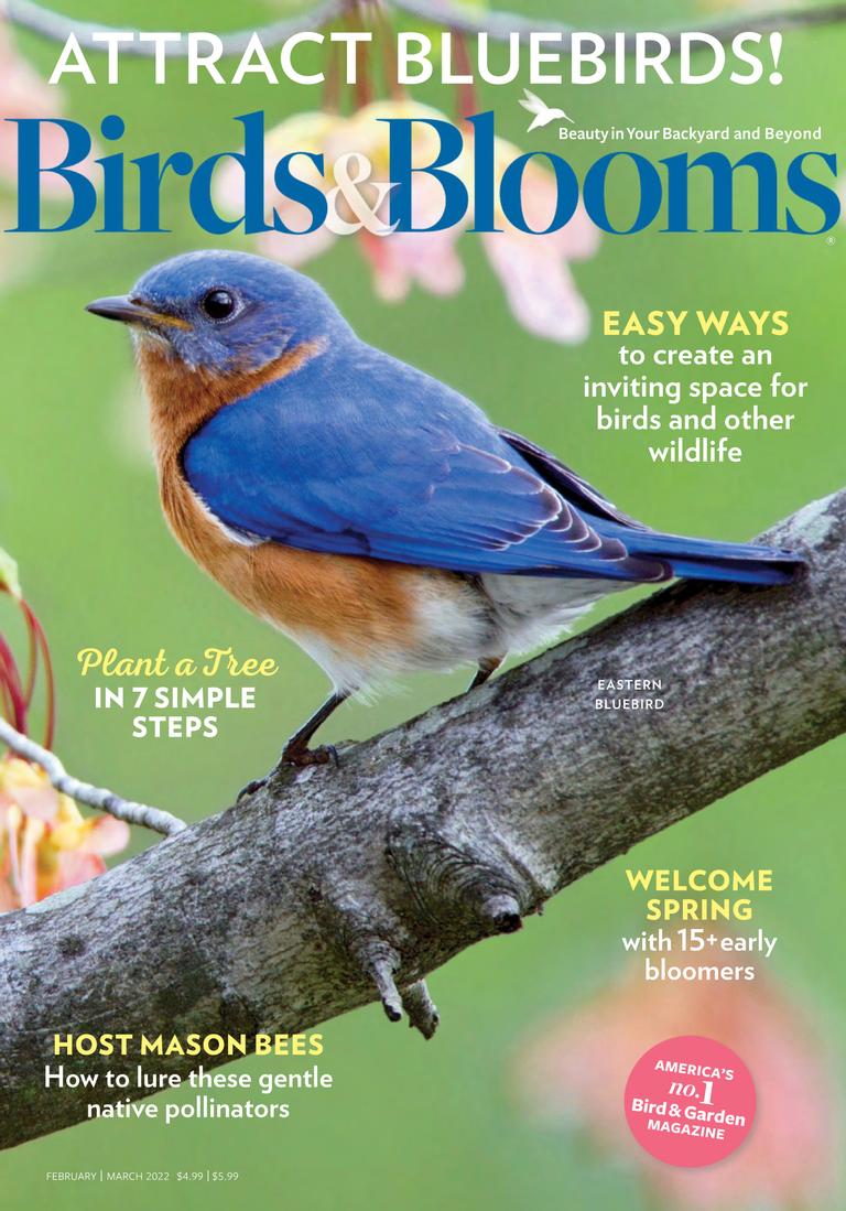 Birds & Blooms February/March 2022 (Digital) - DiscountMags.com