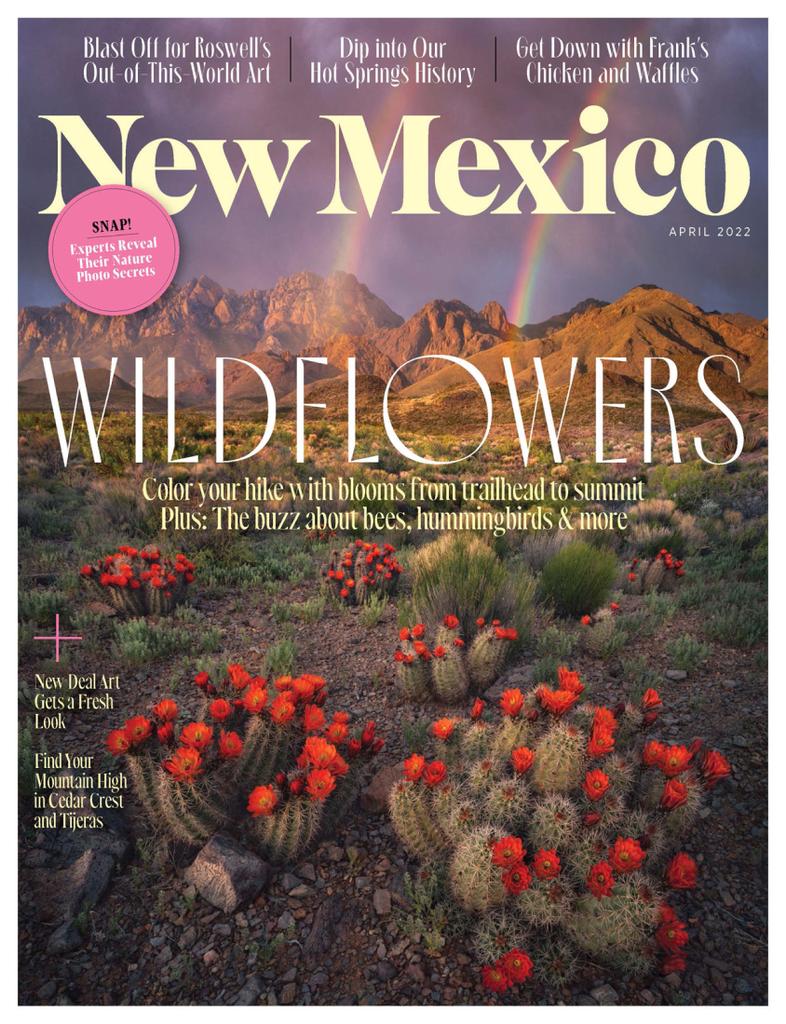 New Mexico April 2022 (Digital)