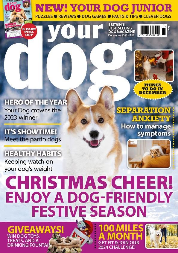 https://www.discountmags.com/shopimages/products/extras/471121-your-dog-cover-2023-december-1-issue.jpg