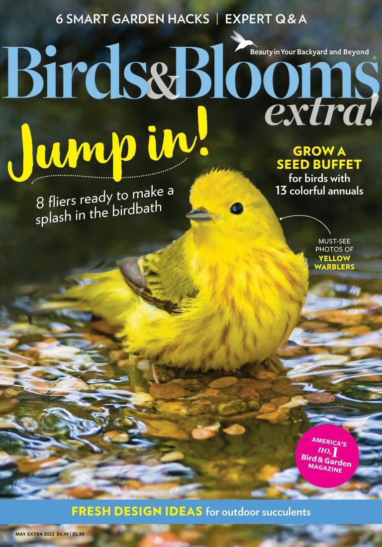 Birds and Blooms Extra May 2022 (Digital) - DiscountMags.com