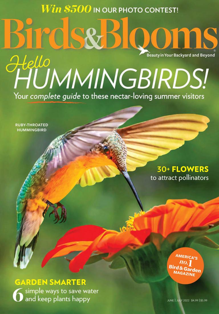 Birds & Blooms June/July 2022 (Digital) - DiscountMags.com