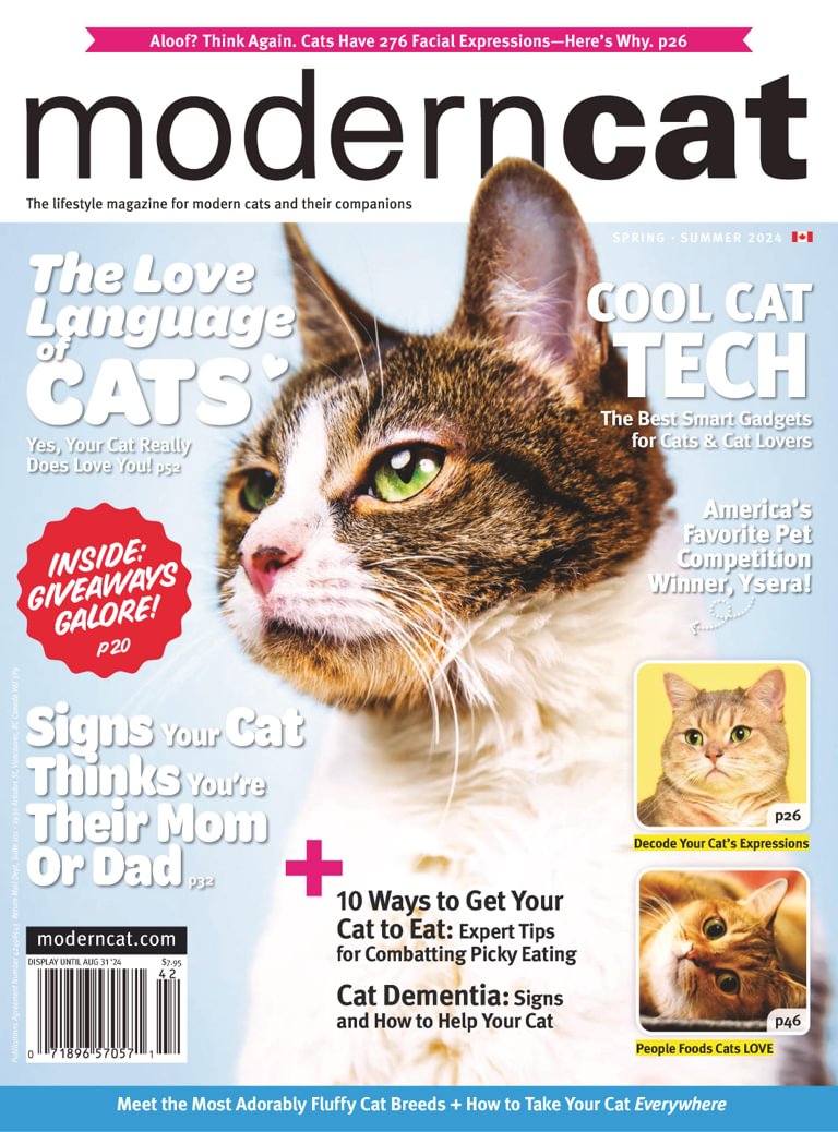 Modern Cat Canada Magazine (Digital) Subscription Discount ...