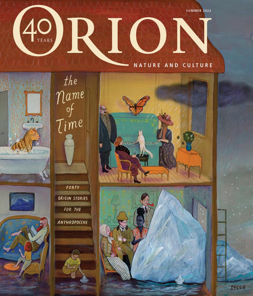 Spark Birds - Orion Magazine