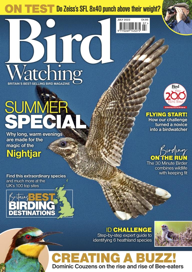 Bird Watching July 2022 (Digital) - DiscountMags.com